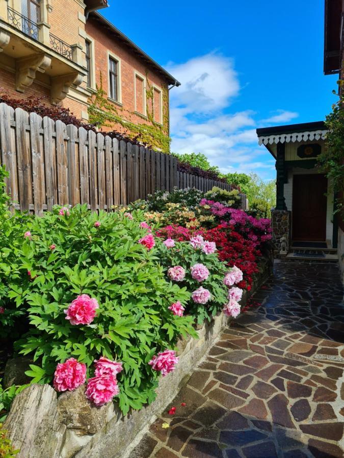 Ferienwohnung Am Heidelberg Blankenburg  Buitenkant foto